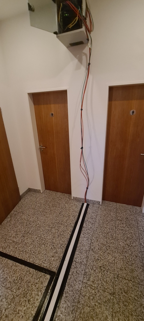 Buchenau_2023 (19).jpg